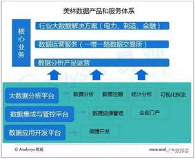 中国城市大数据市场专题分析 数字技术服务驱动下的机遇与挑战